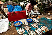 Kerala - Kochi the Chinese fishing net. 